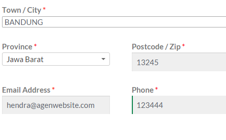 AgenWebsite